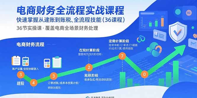 电商财务全流程实战课程：快速掌握从建账到报税的全流程技能(36节课-泡泡网创