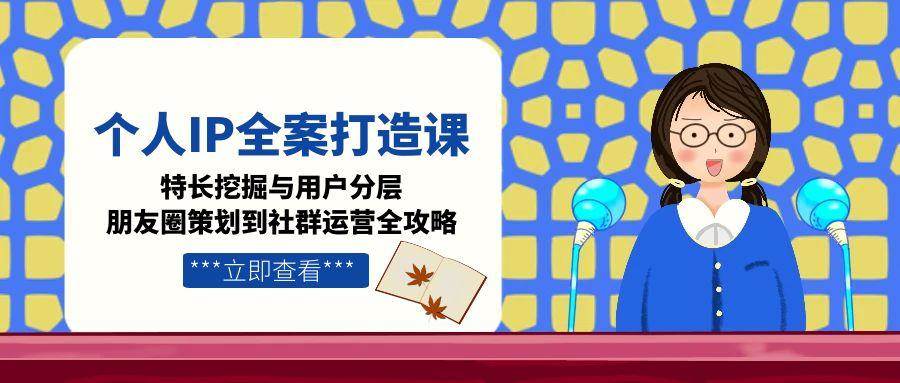 个人IP全案打造课，特长挖掘与用户分层，朋友圈策划到社群运营全攻略-泡泡网创