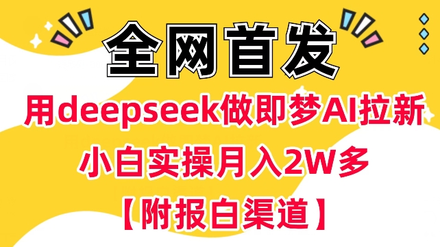 用deepseek做即梦Ai拉新 小白实操月入过W+【附报白渠道】-泡泡网创