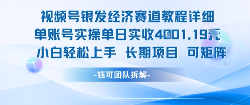 视频号银发经济赛道单账号实操单日实收1k+，小白轻松上手长期项目-泡泡网创