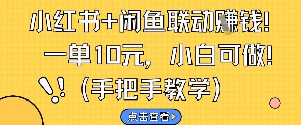 小红书+闲鱼联动挣钱，一单10元，小白可做-泡泡网创