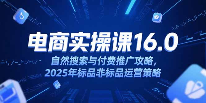 淘宝电商运营课16.0，自然搜索与付费推广攻略，2025年标品非标品运营策略-泡泡网创