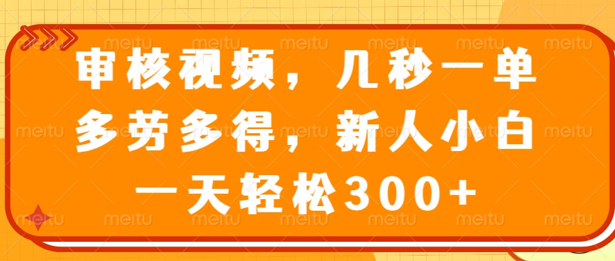 （14294期）审核视频，几秒一单，多劳多得，新人小白一天轻松300+-泡泡网创