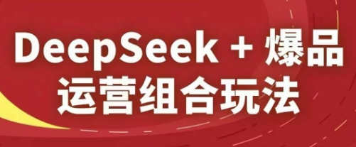 DeepSeek+爆品运营组合玩法，2025淘系精品课-泡泡网创