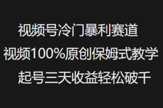视频号冷门暴利赛道视频100%原创保姆式教学起号三天收益轻松破千-泡泡网创