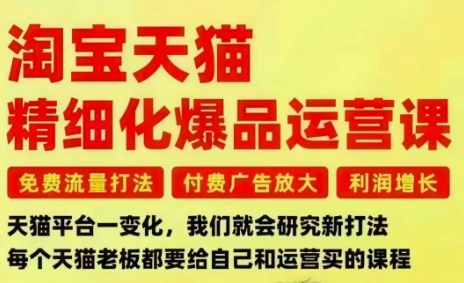淘宝天猫精细化爆品运营课，免费流量打法-付费广告放大-利润增长-三大核心痛点，一次全部解决-泡泡网创