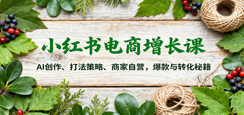 小红书电商增长课：AI创作、打法策略、商家自营，爆款与转化秘籍-泡泡网创