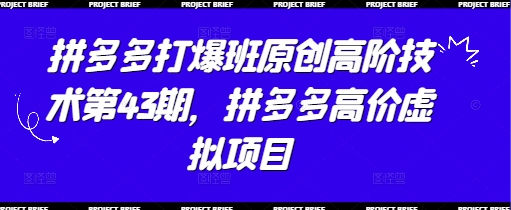 拼多多打爆班原创高阶技术第43期，拼多多高价虚拟项目-泡泡网创