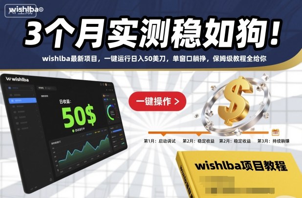 3个月实测稳如狗！wishlba最新项目，一键运行日入50美刀，单窗口躺挣，保姆级教程全给你【揭秘】-泡泡网创