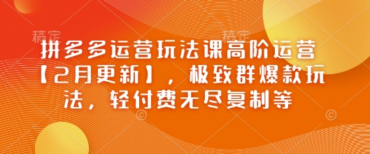 拼多多运营玩法课高阶运营【2月更新】，极致群爆款玩法，轻付费无尽复制等-泡泡网创
