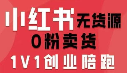 小红书无货源0粉电商课，开店准备、选品策略、笔记撰写、视频剪辑、数据分析、账号打造、资料文档-泡泡网创