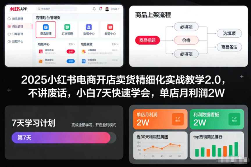 2025小红书电商开店卖货精细化实战教学2.0，不讲废话，小白7天快速学会，单店月利润2W-泡泡网创