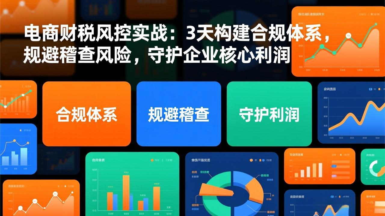 电商财税风控实战：3天构建合规体系，规避稽查风险，守护企业核心利润-泡泡网创