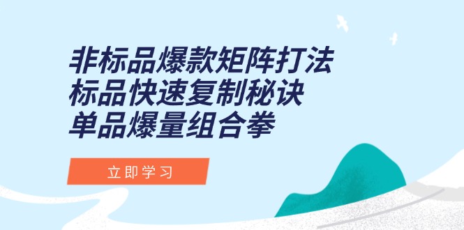 非标品爆款矩阵打法，标品快速复制秘诀，单品爆量组合拳-泡泡网创