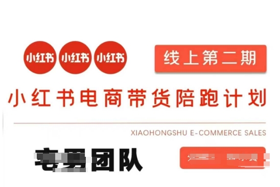 小红书电商带货课2期，月利润20个的小红书电商的有货源，无货源，虚拟产品，付费投流等整套玩法-泡泡网创