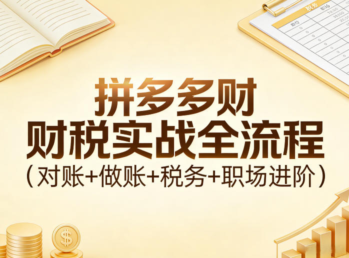 拼多多财税实战全流程(对账+做账+税务+职场进阶)-泡泡网创
