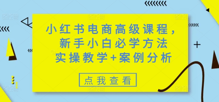 小红书电商高级课程，新手小白必学方法，实操教学+案例分析-泡泡网创