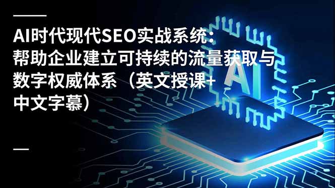 AI时代现代SEO实战系统：帮助企业建立可持续的流量获取与数字权威体系(英文授课+中文字幕-泡泡网创