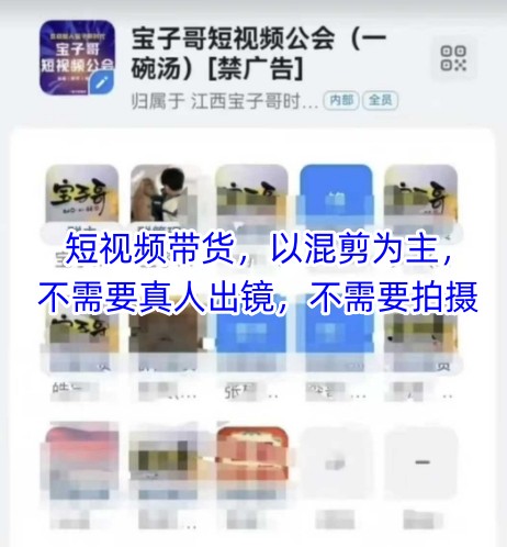 宝子哥头部团队短视频带货，以混剪为主，不需要真人出镜，不需要拍摄【更新9月】-泡泡网创