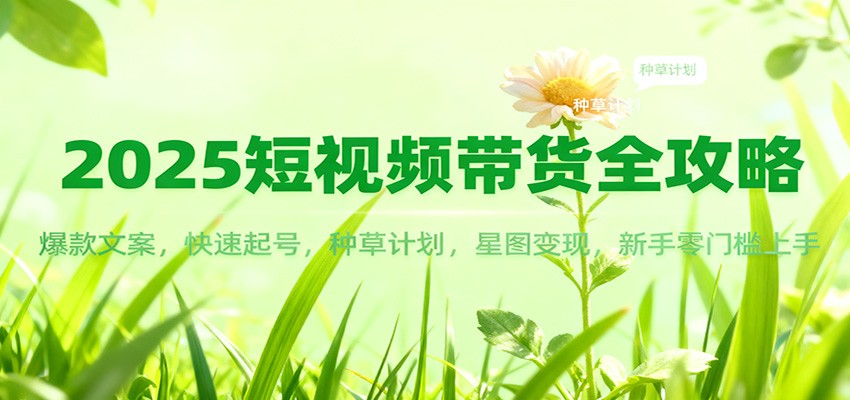 2025短视频带货全攻略：爆款文案，快速起号，种草计划，星图变现，新手零门槛上手-泡泡网创