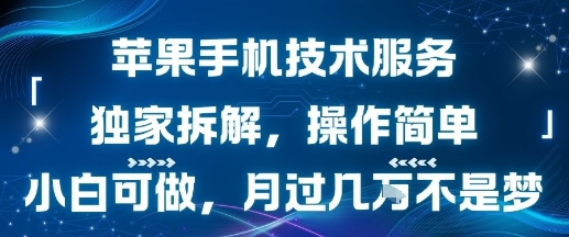 苹果手机技术服务，独家拆解，操作简单，小白可做，月过1W不是梦-泡泡网创