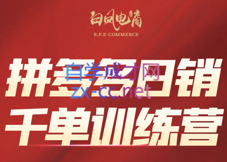 白凤电商·拼多多日销千单训练营(更新11月)-泡泡网创