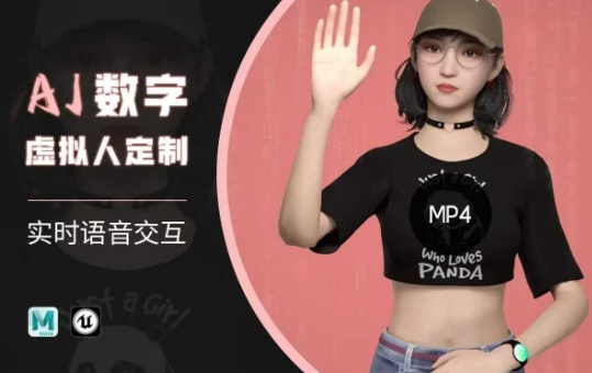 Ai数字人虚拟(智能体)实时语音交互特训营，​自行定制超写实角色AI数字人交互技术-泡泡网创