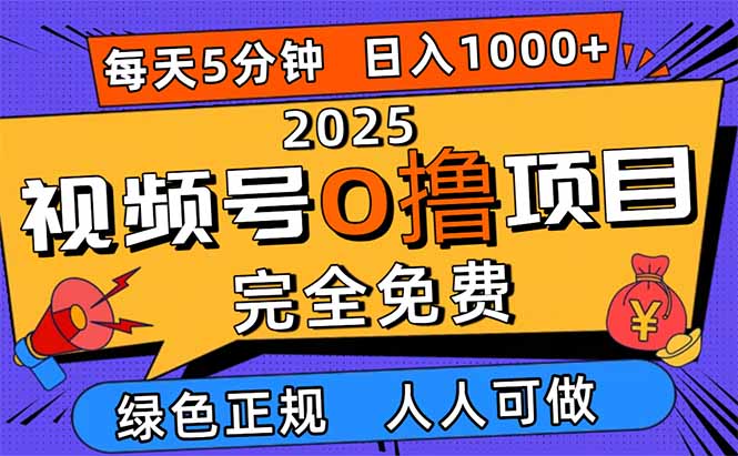 2025视频号0撸项目，5分钟一个号，日入1000+，人人可做-泡泡网创