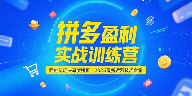 拼多多盈利实战训练营，强付费玩法深度解析，2025运营技巧合集-更新6月-泡泡网创
