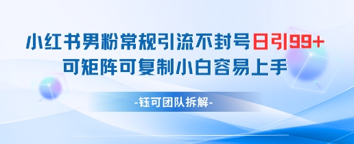 小红书男粉常规引流不封号日引99+变现简单 可矩阵可复制小白容易上手-泡泡网创