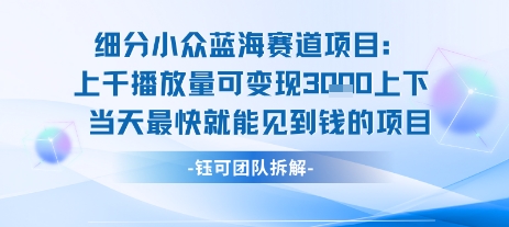 小众蓝海赛道项目：当天变现1k+适合新手操作 +适合长期玩-泡泡网创