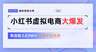 小红书虚拟电商项目，平台大力免费流量扶持，低门槛1拖3玩法-泡泡网创