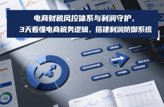 电商财税风控体系与利润守护，3天看懂电商税务逻辑，搭建利润防御系统-泡泡网创