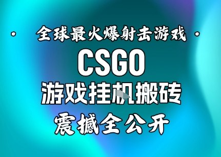 【年底大揭秘】基于全球最火爆的射击CSGO游戏挂G搬砖，日入5张+，震撼公开-泡泡网创