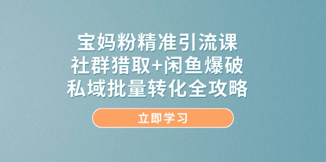 宝妈粉精准引流课，社群猎取+闲鱼爆破，私域批量转化全攻略-泡泡网创