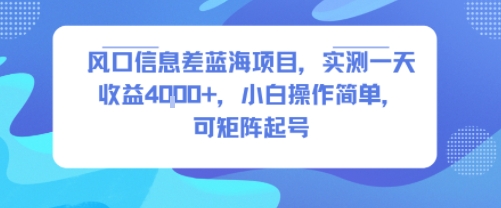 风口信息差蓝海项目，实测一天收益4k+，小白操作简单，可矩阵起号-泡泡网创