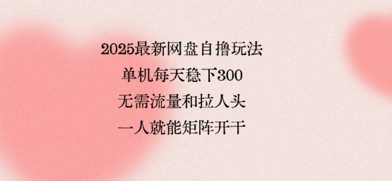 2025最新网盘自撸玩法，单机每天稳下3张，无需流量和拉人头，一个人就可轻松矩阵，全网独一份【揭秘】-泡泡网创
