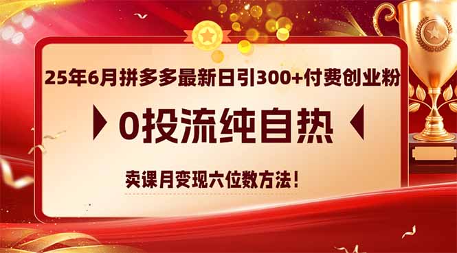 25年6月拼多多最新日引300+付费创业粉，0投流纯自热 卖课月变现六位数方法-泡泡网创