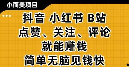 小而美的项目，抖音小红书B站视频点赞、关注、评论就能挣钱，简单无脑立见收益，妥妥的零撸项目【揭秘】-泡泡网创