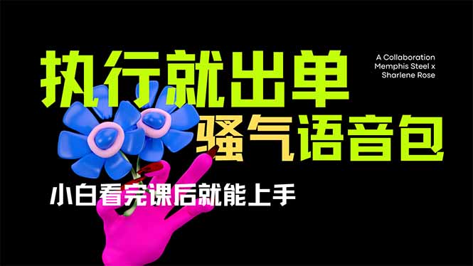 爆火全网的开车导航骚气语音包,只要执行就出单，小白看完课程就能实操...-泡泡网创
