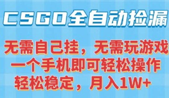 CSGO自动捡漏项目，最新独家玩法，一个手机可操作，新手小白轻松月入1W+，操作简单易上手【揭秘】-泡泡网创