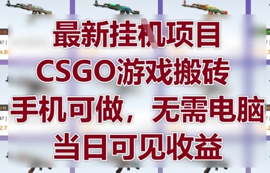 最新挂G项目，CSGO游戏搬砖，手机可做，无需电脑，当日见收益【揭秘】-泡泡网创