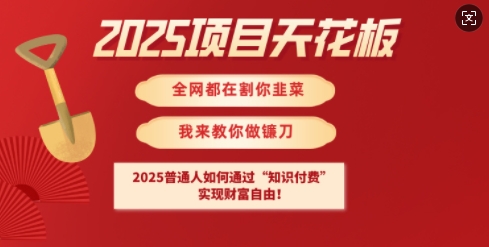 2025项目天花板普通人如何通过知识付费，实现财F自由【揭秘】-泡泡网创